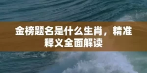 金榜题名是什么生肖，精准释义全面解读