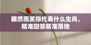 冁然而笑指代表什么生肖，精准回答精准落地