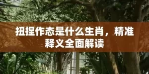 扭捏作态是什么生肖，精准释义全面解读