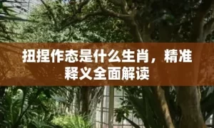 扭捏作态是什么生肖，精准释义全面解读