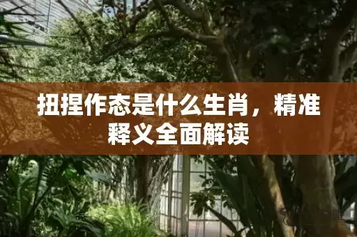 扭捏作态是什么生肖，精准释义全面解读插图