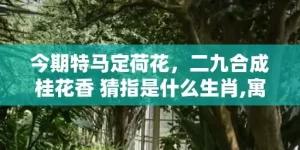 今期特马定荷花，二九合成桂花香 猜指是什么生肖,寓意生肖深度解读