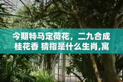 今期特马定荷花，二九合成桂花香 猜指是什么生肖,寓意生肖深度解读插图