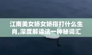 江南美女娇女娇指打什么生肖,深度解读这一神秘词汇