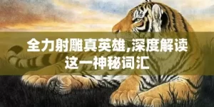 全力射雕真英雄,深度解读这一神秘词汇