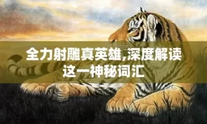 全力射雕真英雄,深度解读这一神秘词汇