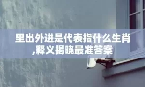 里出外进是代表指什么生肖,释义揭晓最准答案