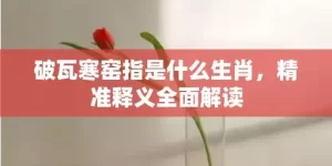 破瓦寒窑指是什么生肖，精准释义全面解读