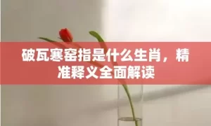 破瓦寒窑指是什么生肖，精准释义全面解读