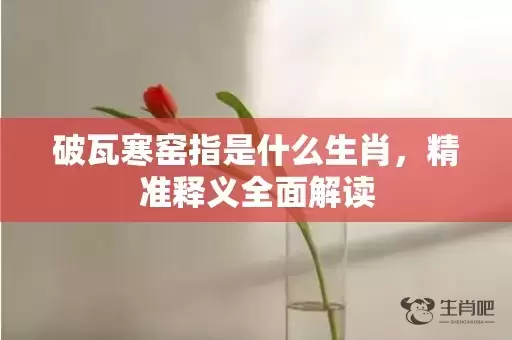 破瓦寒窑指是什么生肖，精准释义全面解读