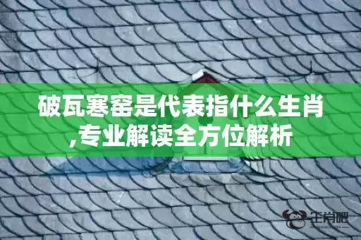 破瓦寒窑是代表指什么生肖,专业解读全方位解析插图