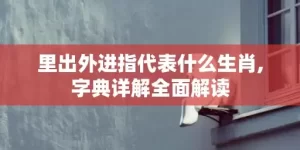 里出外进指代表什么生肖,字典详解全面解读