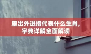 里出外进指代表什么生肖,字典详解全面解读