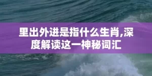 里出外进是指什么生肖,深度解读这一神秘词汇