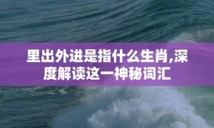 里出外进是指什么生肖,深度解读这一神秘词汇