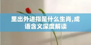 里出外进指是什么生肖,成语含义深度解读