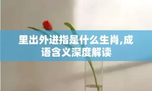 里出外进指是什么生肖,成语含义深度解读