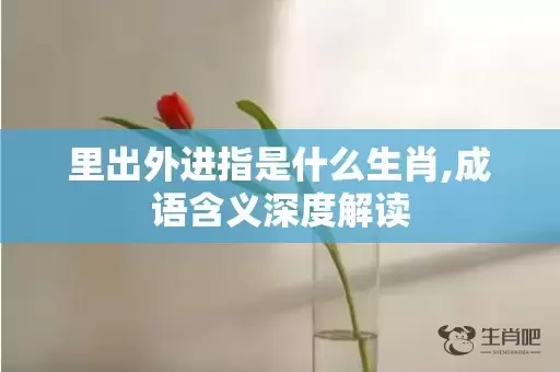 里出外进指是什么生肖,成语含义深度解读插图