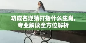 功成名遂猜打指什么生肖,专业解读全方位解析