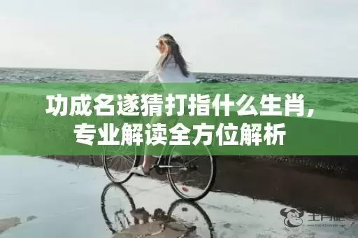 功成名遂猜打指什么生肖,专业解读全方位解析插图