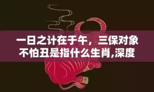 一日之计在于午，三保对象不怕丑是指什么生肖,深度解读这一神秘词汇