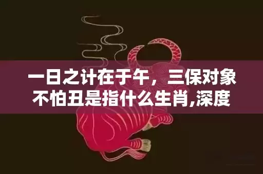 一日之计在于午，三保对象不怕丑是指什么生肖,深度解读这一神秘词汇插图