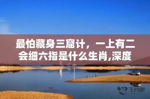 最怕藏身三窟计，一上有二会细六指是什么生肖,深度解读成语含义插图