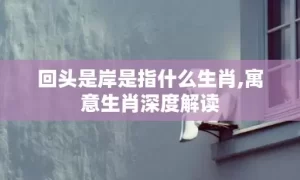 回头是岸是指什么生肖,寓意生肖深度解读缩略图 回头是岸是指什么生肖,寓意生肖深度解读