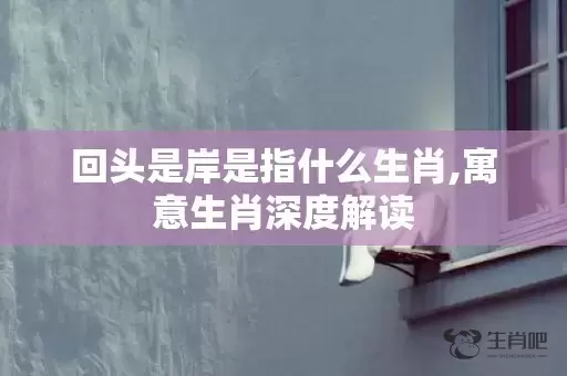 回头是岸是指什么生肖,寓意生肖深度解读插图