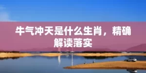 牛气冲天是什么生肖，精确解读落实