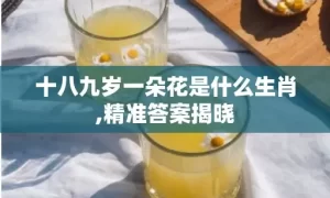 十八九岁一朵花是什么生肖,精准答案揭晓