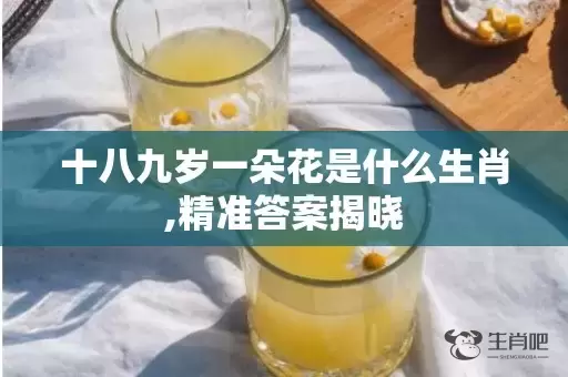 十八九岁一朵花是什么生肖,精准答案揭晓插图
