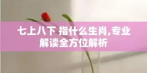 七上八下 指什么生肖,专业解读全方位解析