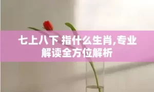 七上八下 指什么生肖,专业解读全方位解析缩略图 七上八下 指什么生肖,专业解读全方位解析