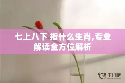 七上八下 指什么生肖,专业解读全方位解析插图