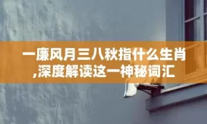 一廉风月三八秋指什么生肖,深度解读这一神秘词汇