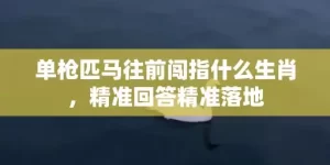 单枪匹马往前闯指什么生肖，精准回答精准落地