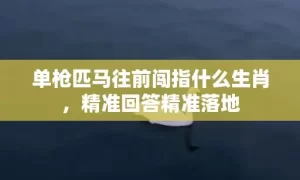 单枪匹马往前闯指什么生肖,精准回答精准落地缩略图 单枪匹马往前闯指什么生肖,精准回答精准落地