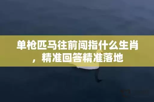 单枪匹马往前闯指什么生肖，精准回答精准落地插图