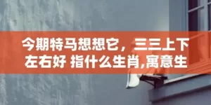 今期特马想想它，三三上下左右好 指什么生肖,寓意生肖深度解读