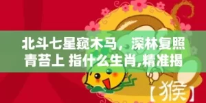 北斗七星窥木马，深林复照青苔上 指什么生肖,精准揭秘相关生肖含义