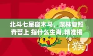 北斗七星窥木马,深林复照青苔上 指什么生肖,精准揭秘相关生肖含义缩略图 北斗七星窥木马,深林复照青苔上 指什么生肖,精准揭秘相关生肖含义