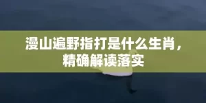 漫山遍野指打是什么生肖，精确解读落实