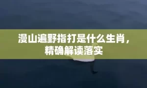 漫山遍野指打是什么生肖,精确解读落实缩略图 漫山遍野指打是什么生肖,精确解读落实