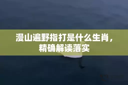 漫山遍野指打是什么生肖，精确解读落实插图