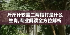 斤斤计较差二两指打是什么生肖,专业解读全方位解析