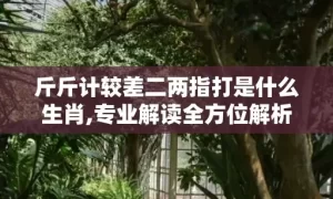 斤斤计较差二两指打是什么生肖,专业解读全方位解析