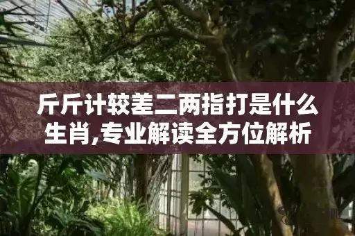 斤斤计较差二两指打是什么生肖,专业解读全方位解析插图