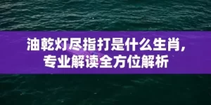 油乾灯尽指打是什么生肖,专业解读全方位解析