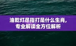 油乾灯尽指打是什么生肖,专业解读全方位解析